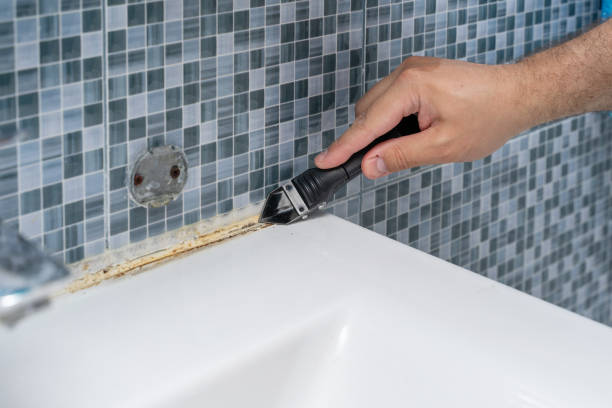 Best Commercial Mold Remediation in Auburn, NY